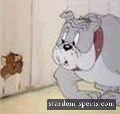 王磊